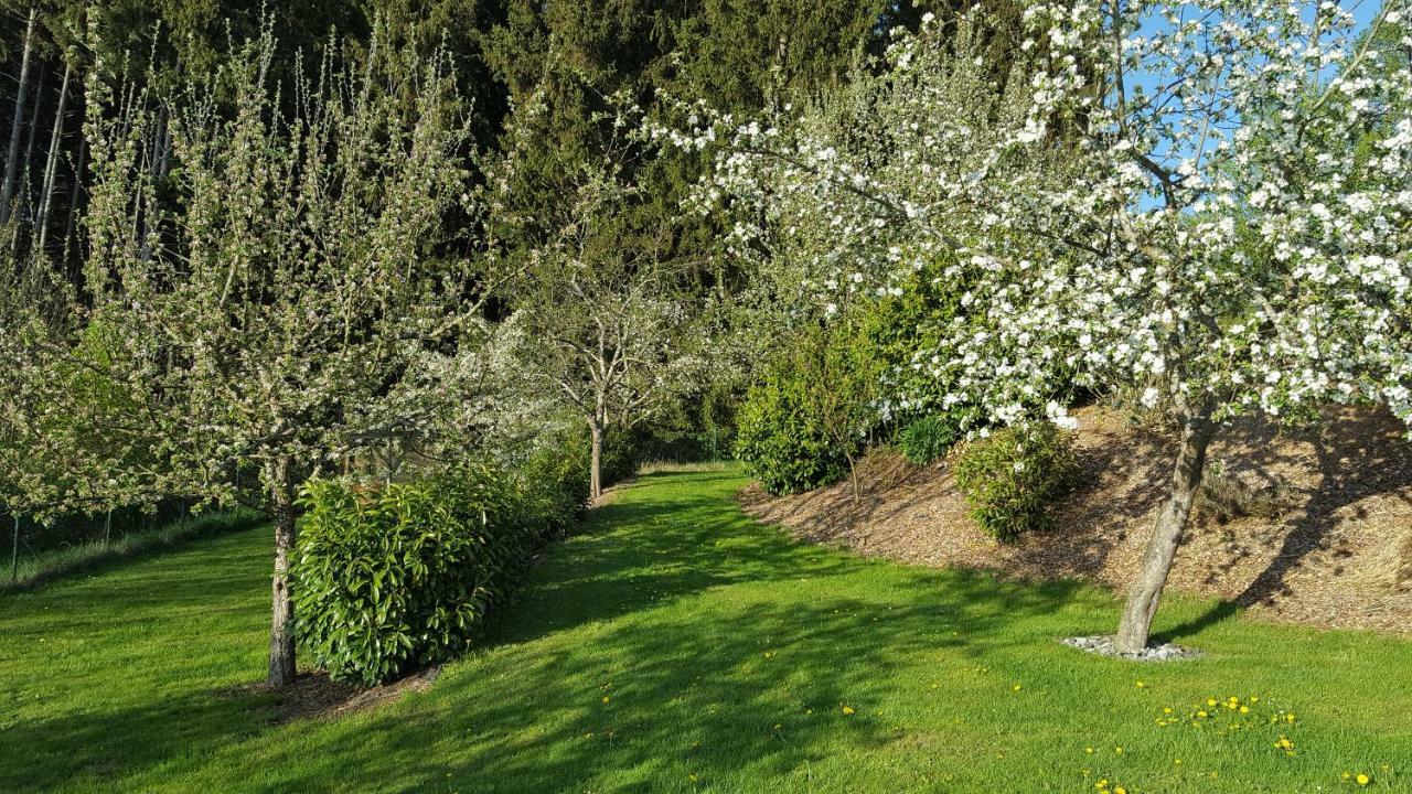 Ferienwohnung Am Waldrand Herdwangen-Schonach Экстерьер фото