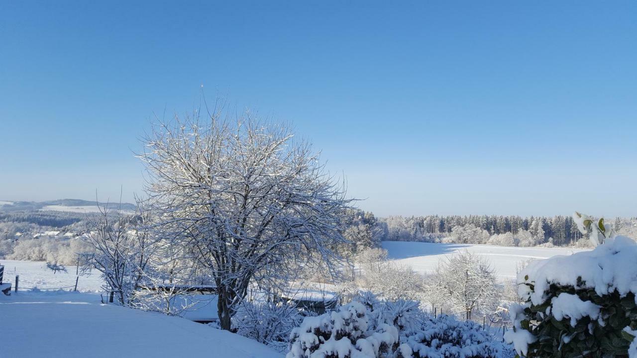 Ferienwohnung Am Waldrand Herdwangen-Schonach Экстерьер фото